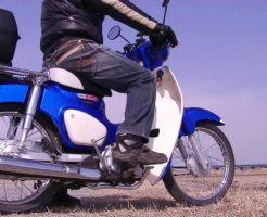 カブにまたがる男